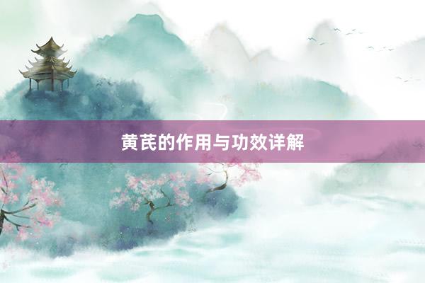 黄芪的作用与功效详解