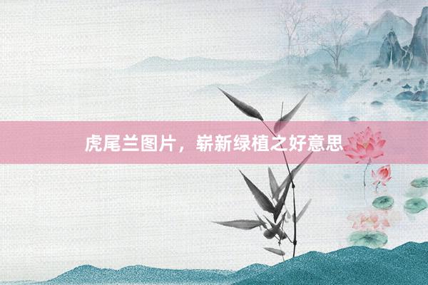 虎尾兰图片，崭新绿植之好意思